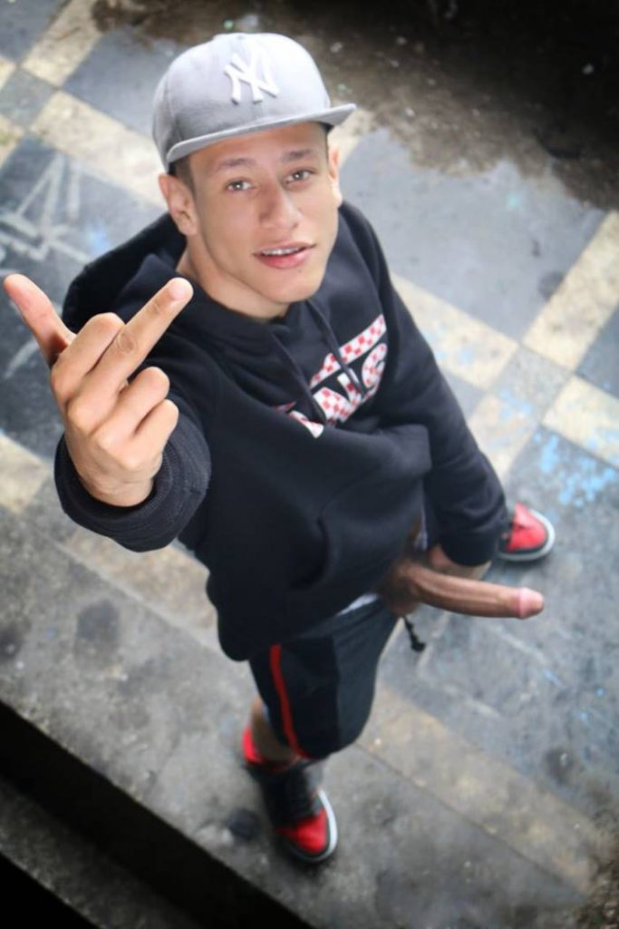 Novinho Picudo Novinho Picudo